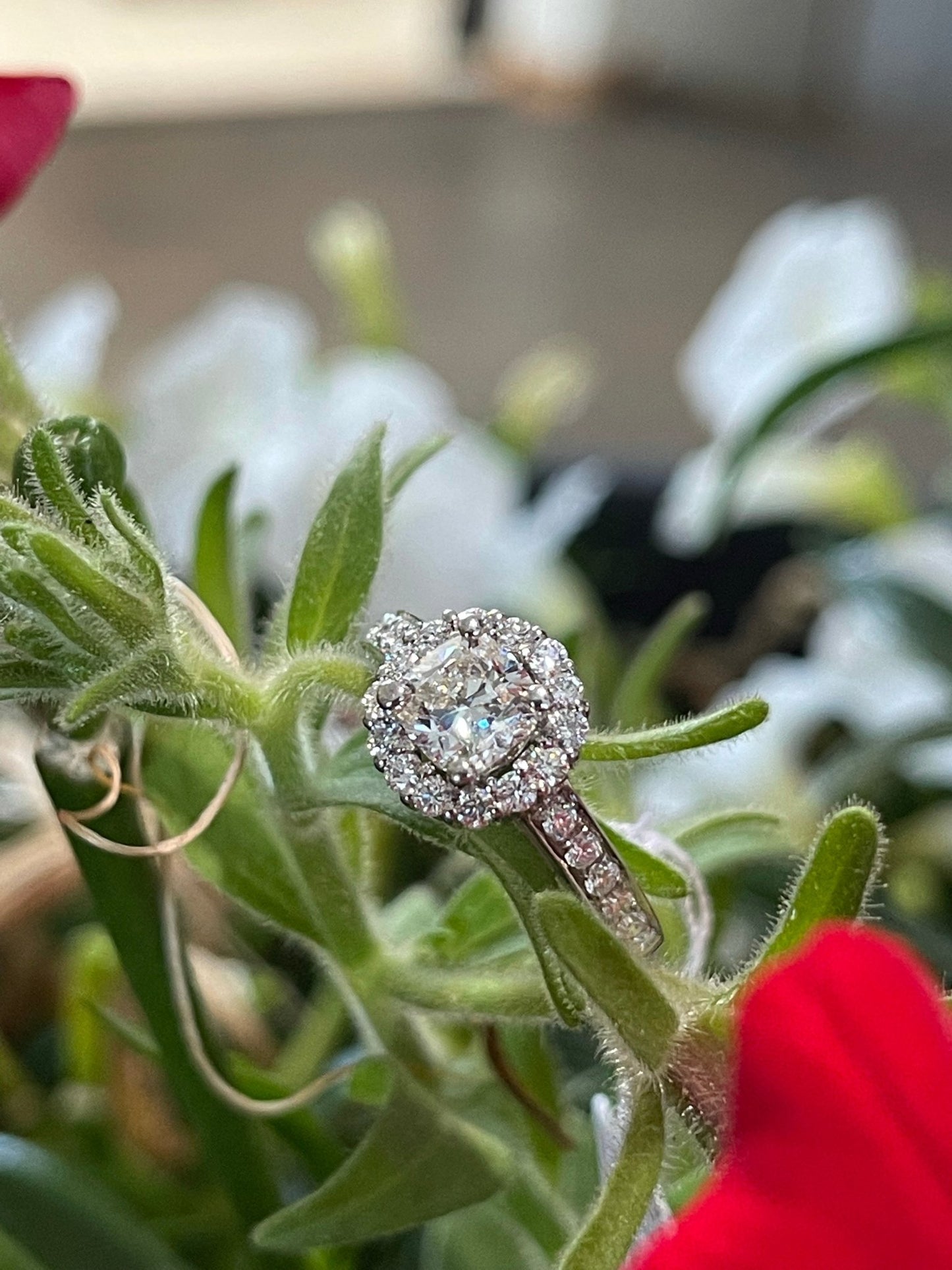 #Product# - #bhjewelry.net#